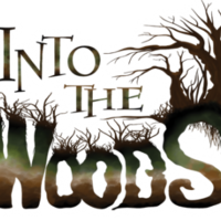 Into the Woods kommt auf die Leinwand